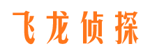 浪卡子资产调查